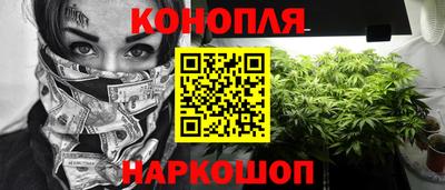 jwh Нальчик