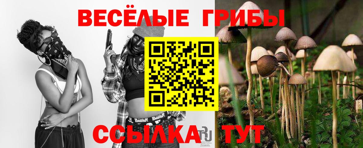 Псилоцибиновые грибы Magic Shrooms  Вход с VPN  где купить наркоту  Галлюциногенные грибы Cubensis  Черкесск 
